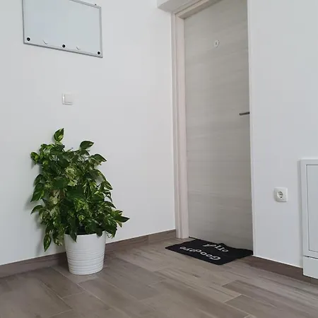 Rubinic Apartment Lovran